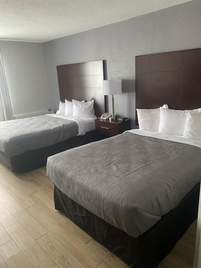 Quality Inn Colchester - Burlington Extérieur photo