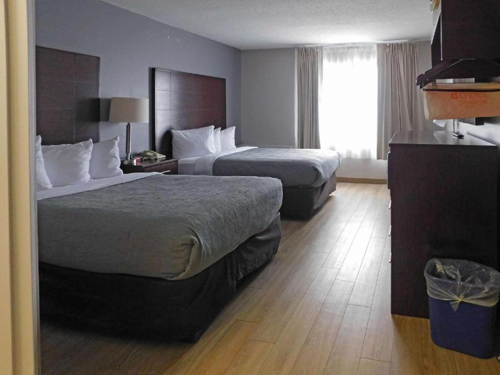 Quality Inn Colchester - Burlington Extérieur photo
