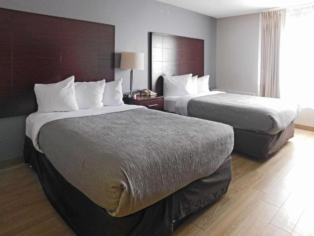 Quality Inn Colchester - Burlington Extérieur photo